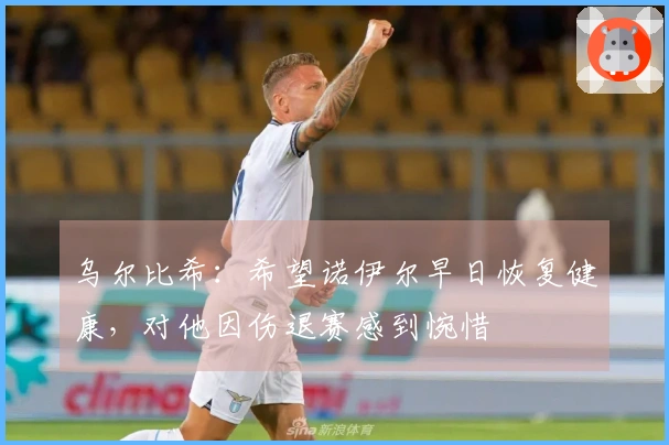 乌尔比希：希望诺伊尔早日恢复健康，对他因伤退赛感到惋惜