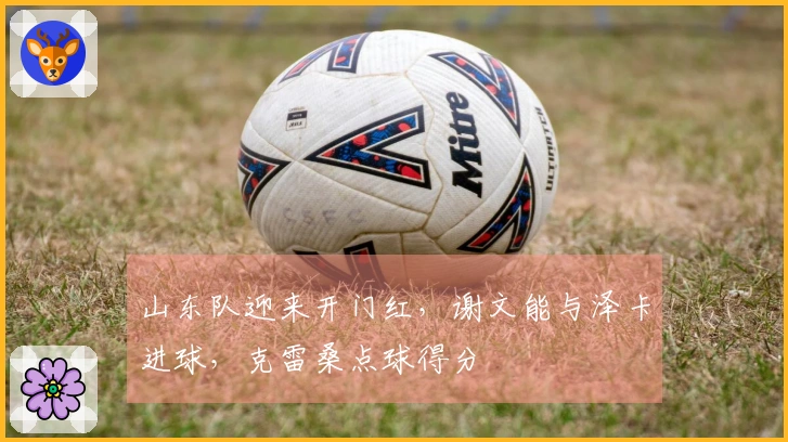 山东队迎来开门红，谢文能与泽卡进球，克雷桑点球得分